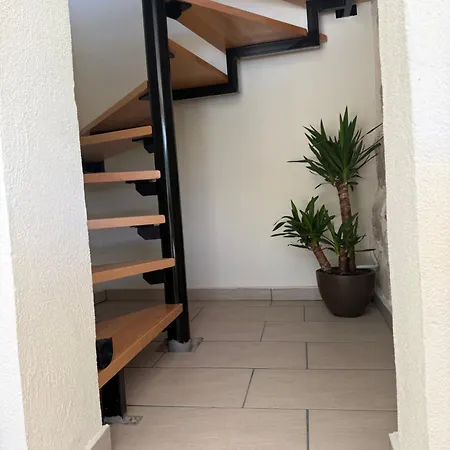 Ivana Zmijavci